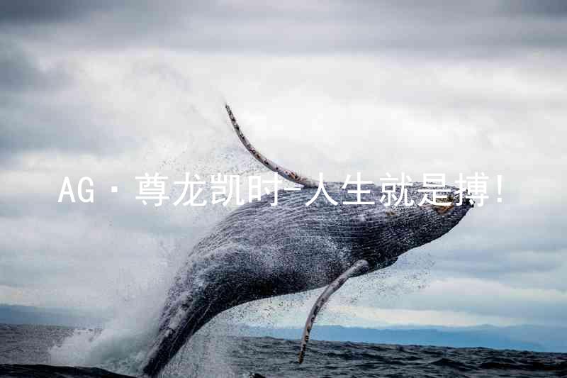 AG·尊龙凯时-人生就是搏!