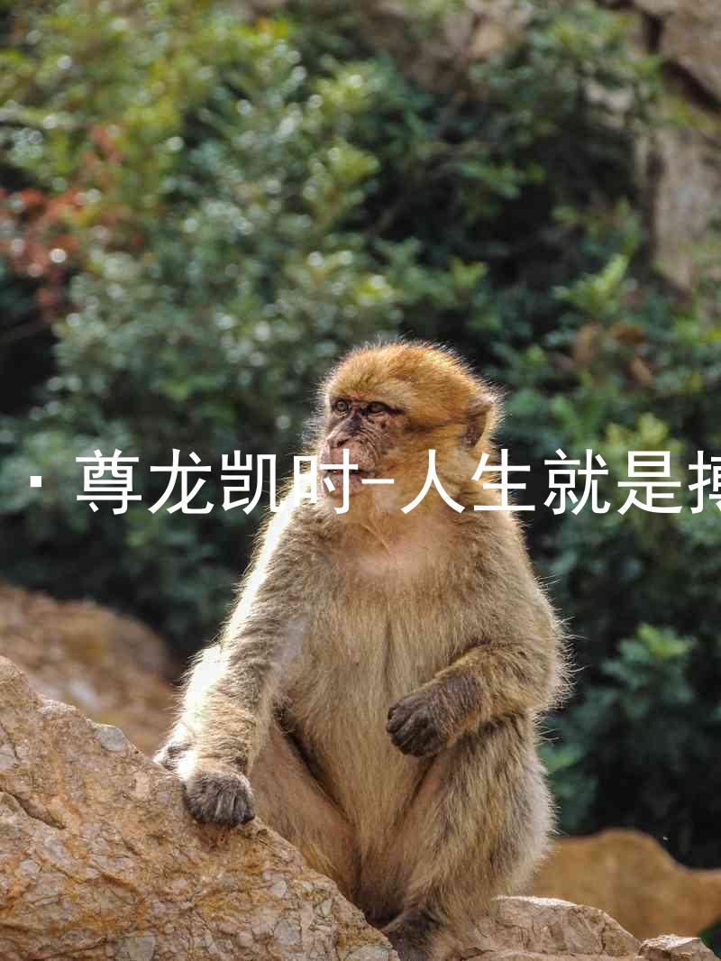 AG·尊龙凯时-人生就是搏!